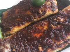 魔鬼鱼-纽顿熟食中心