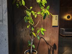 -木守西溪溪隐餐厅