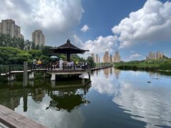 -前关湿地公园