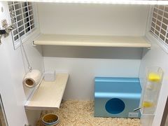 -龙猫仔乐园(惠福东路店)