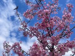 -福州大学(旗山校区)