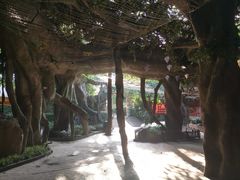 -横店影视城梦幻谷园区