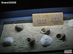 -亚龙湾中心广场·贝壳馆