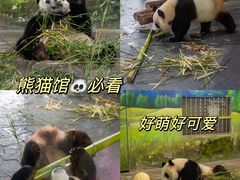 -上海野生动物园