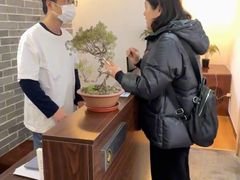 -雅享养生·中医调理·筋骨艾灸(广兰路店)