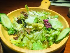 嫩叶蔬菜沙拉-鹿萤季·营地小馆(皇后公园店)