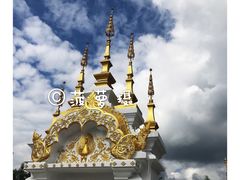 -纳兰傣雀傣味餐厅