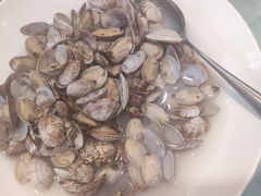 -海派美食·家宴海鲜青岛菜·石锅鲽鱼头(东方城店)