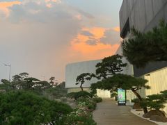 -罗红摄影艺术馆