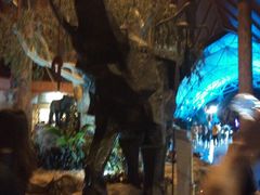 -清迈夜间动物园