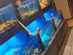 -徐记海鲜(陕西历史博物馆|明德门店)