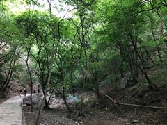 -北京上方山国家森林公园
