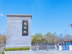 -莲花池公园