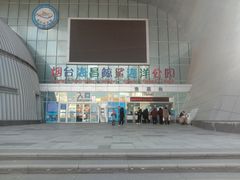 -烟台海昌鲸鲨海洋公园