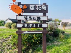 -莲花岛景区