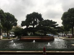 -上海宝华万豪酒店