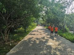 -悦动体能篮球羽毛球网球(三里河店)