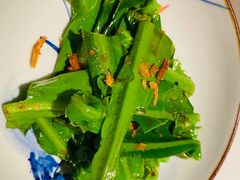 马拉盏酱樱花虾炒山苏叶-广舟(千禧店)