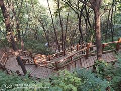 -大岭沟猕猴桃谷风景区
