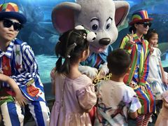 -成都浩海立方海洋公园