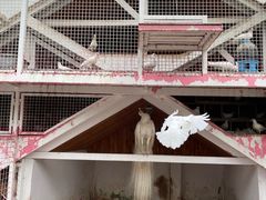 -金庭庄园酒店-停车场