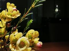 -菩提素素食餐厅(晶郦馆店)