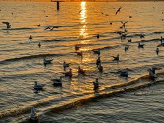 -老虎石海上公园