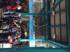 iphone_upload_pic-南丫岛