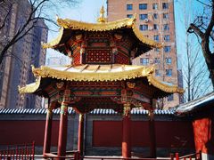-护国法轮寺