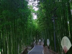 -陈家山荷花公园