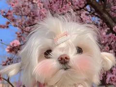 -闪电修企业手机电脑回收(西湖风景名胜区店)