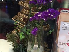 -哈根达斯(扬州瘦西湖店)