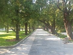 -北京市劳动人民文化宫(太庙)
