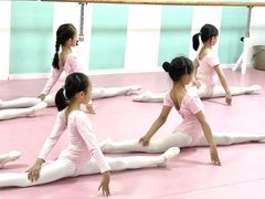 -桃子公主舞蹈培训(万柳校区)