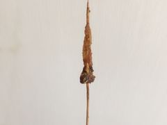 -红烧鱼头·杭帮菜·特色烧烤