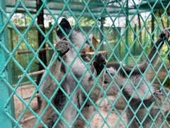 -水上乐园·欢乐世界