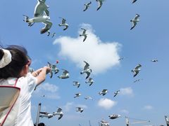 -海驴岛(荣成市)