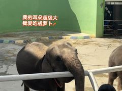 -大连森林动物园