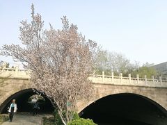 -元大都城垣遗址公园