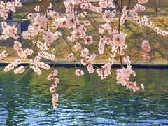 -安定门(地铁站)