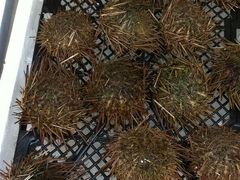 -澳门环岛游湾仔码头