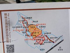 -枫林花海