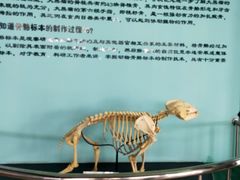 -沈阳森林动物园