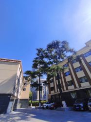 -华东饭店·园林式婚礼宴会厅酒店