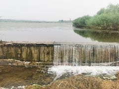 -绿堤公园