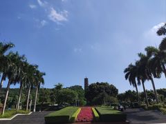 -红花山公园