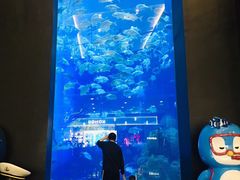 -成都浩海立方海洋公园