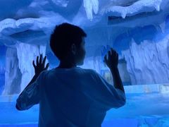 -多彩贵州城极地海洋世界