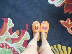 -上海外滩英迪格酒店