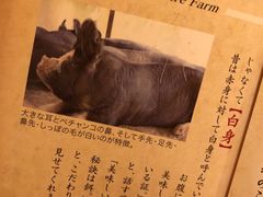 -黒豚料理 寿庵(中央駅西口店)